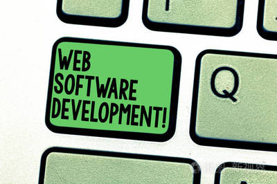 Web软件开发 从概念到数据处理的商业实现